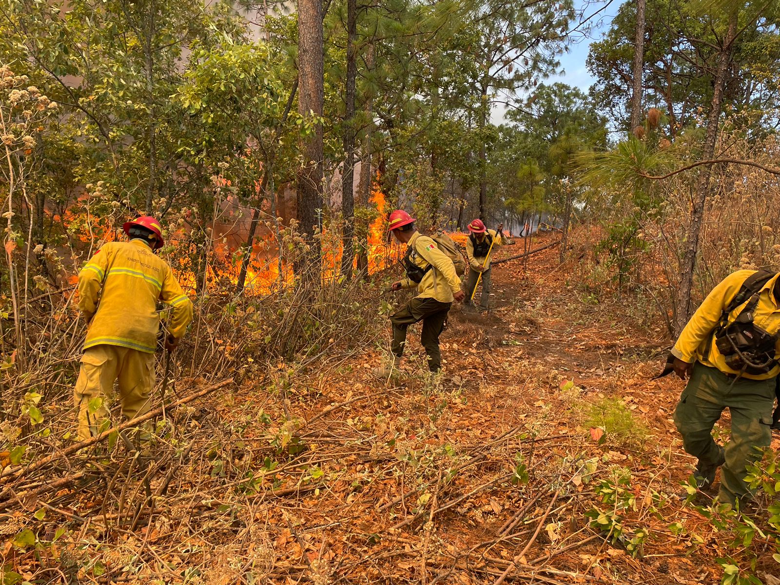 Activan alerta atmosférica en 5 municipios de Jalisco por 4 incendios