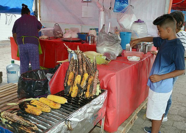 Visite la Feria del Elote en Zapopan