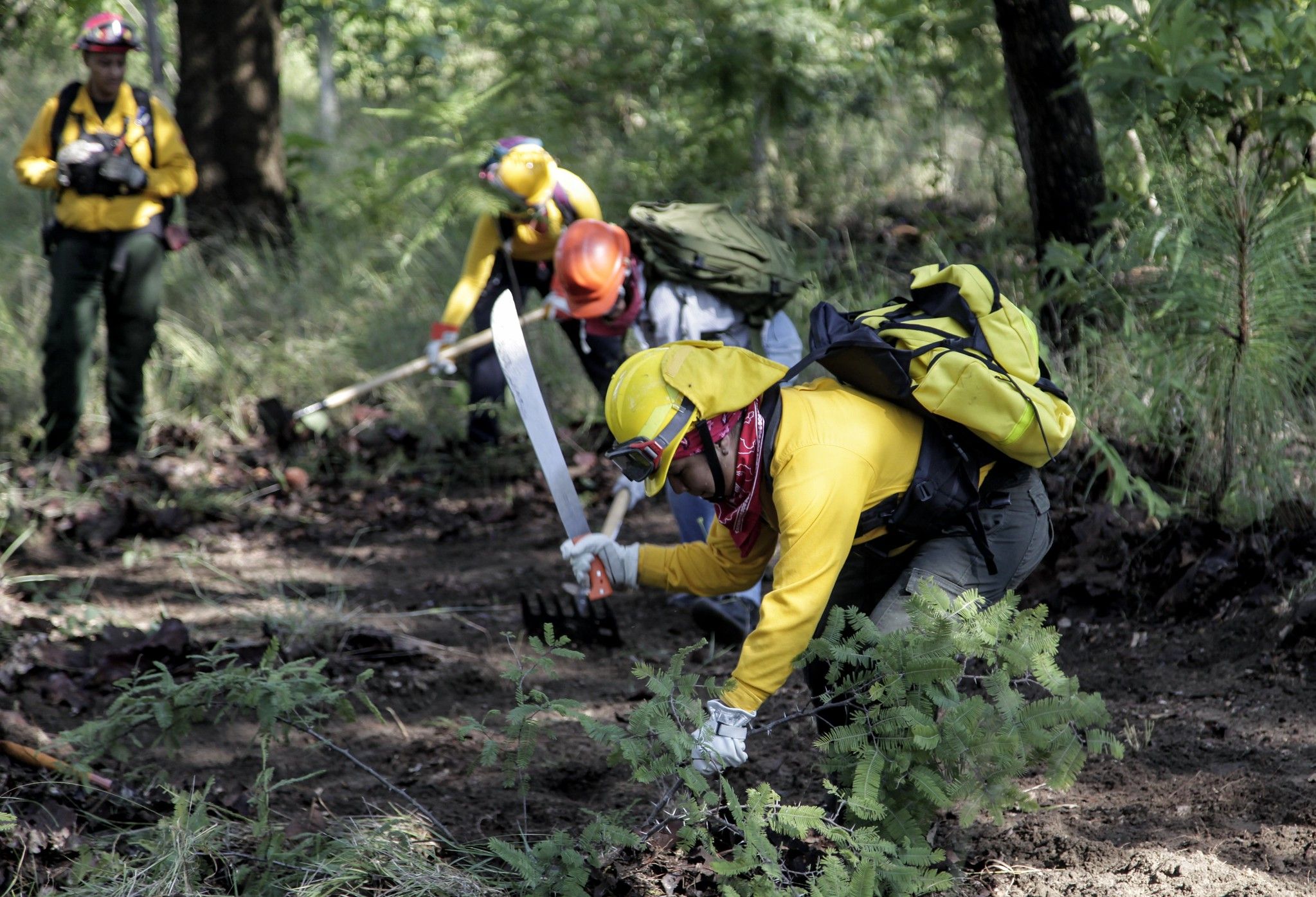 Egresan 29 Mujeres De Curso De Combatientes Forestales En Jalisco