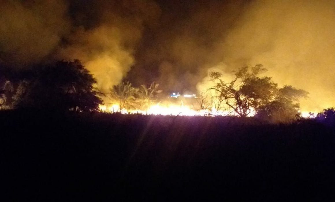 Se registra incendio en el estero El Salado