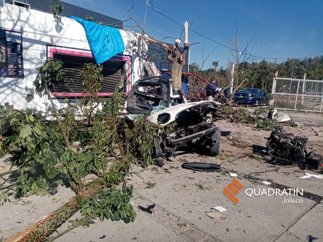 Choque de Mini Cooper contra árbol deja a 2 gravemente lesionados