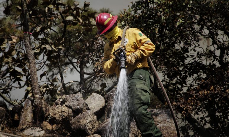 Combaten 16 mil personas 120 incendios forestales activos en México 