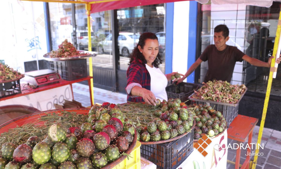 Llegará la Feria de la Pitaya y venta de empanadas a Guadalajara