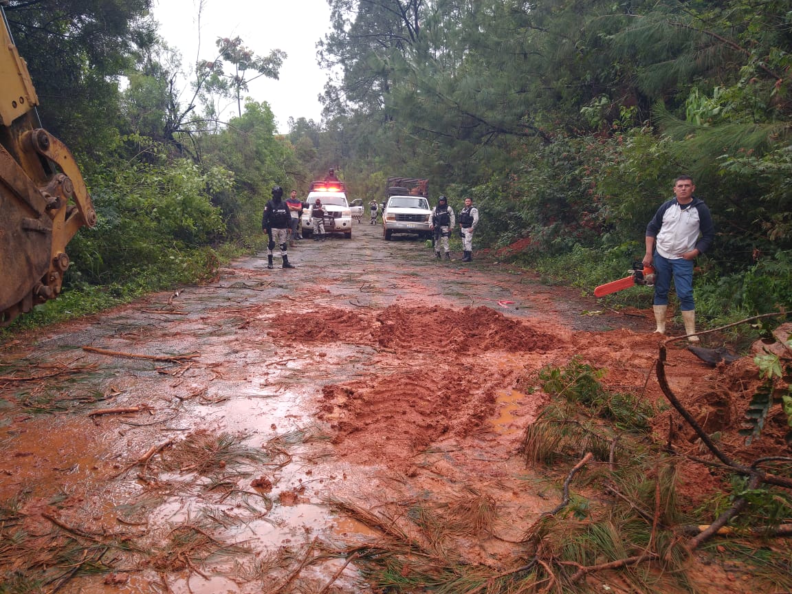 Trabaja Gobierno de Jalisco en contener afectaciones por Huracán Nora - Vimarsana News