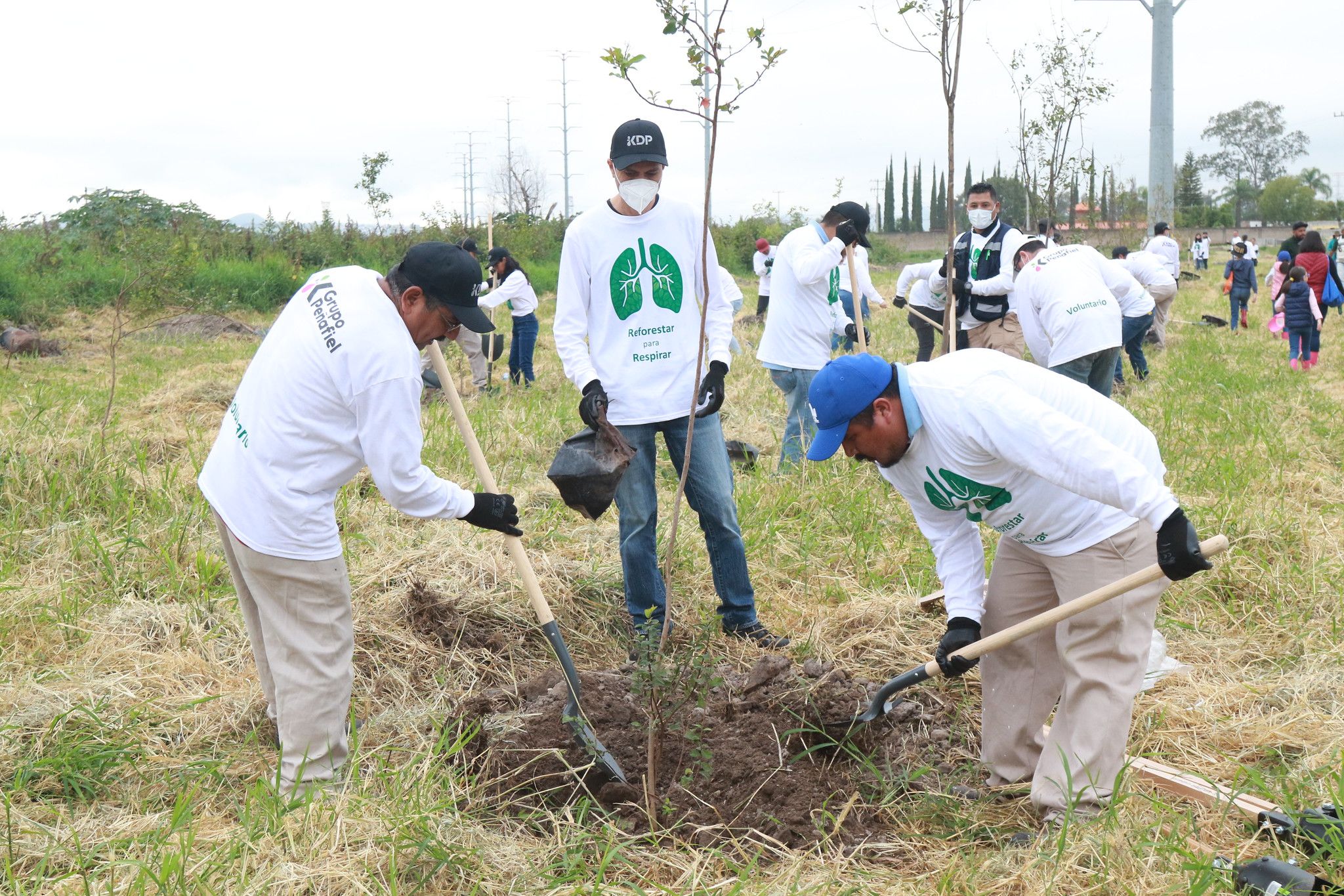 Alcanzó Tlajomulco La Meta De Plantar Más De 50 Mil árboles