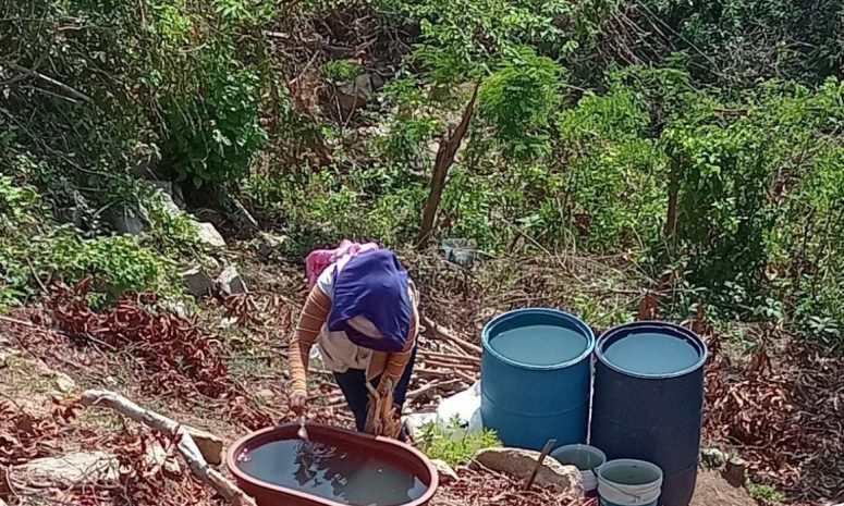 Se eleva a 558 los casos confirmados de dengue en la región de Vallarta