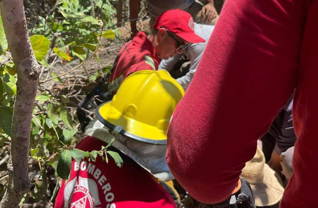 Sobrevive Hombre Tras Caerle árbol Encima En Mascota 7015