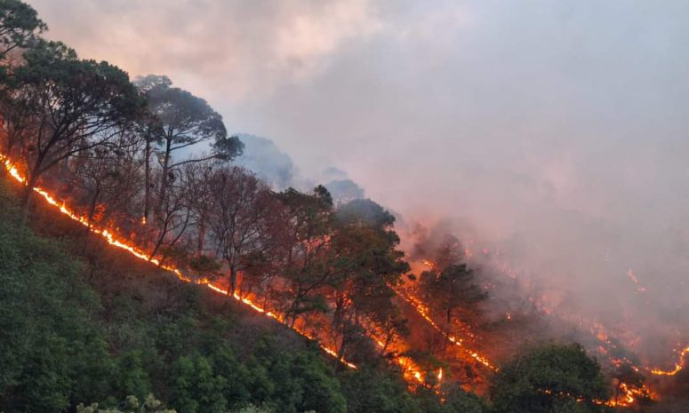 Incendio en Mascota acabó con 860 hectáreas y la vida de una persona