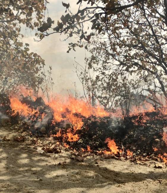 Activan Emergencia Atmosférica en Atotonilco El Alto por incendio ...