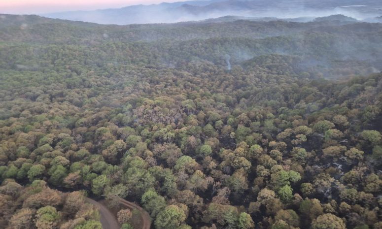 Restringen acceso al Área Natural Sierra de Quila por incendio