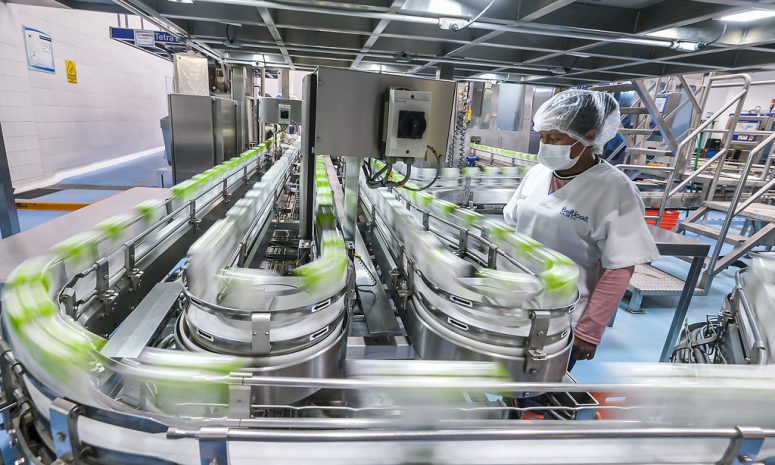Buscan fortalecer 45 proyectos de México y Latinoamérica con mentorías
