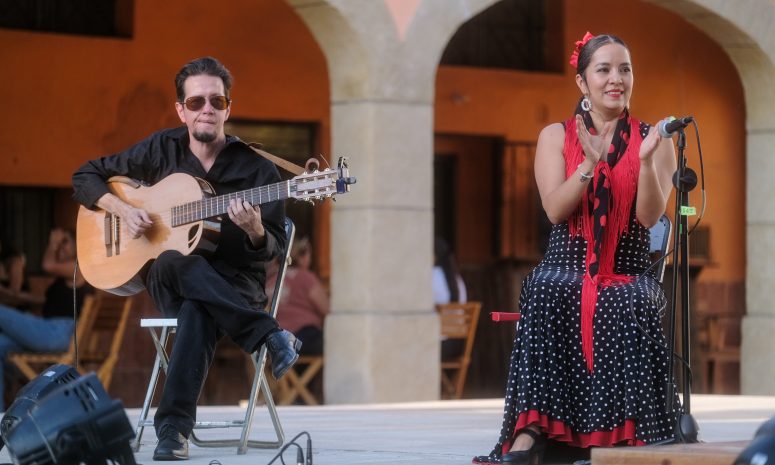 Lleva Secretaría de Cultura espectáculo musical a Teuchitlán