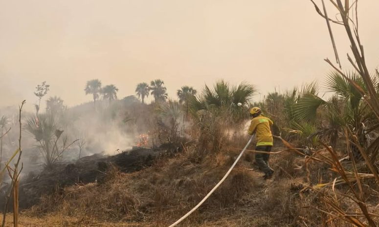 Reportan controlado complejo de incendios en Tomatlán