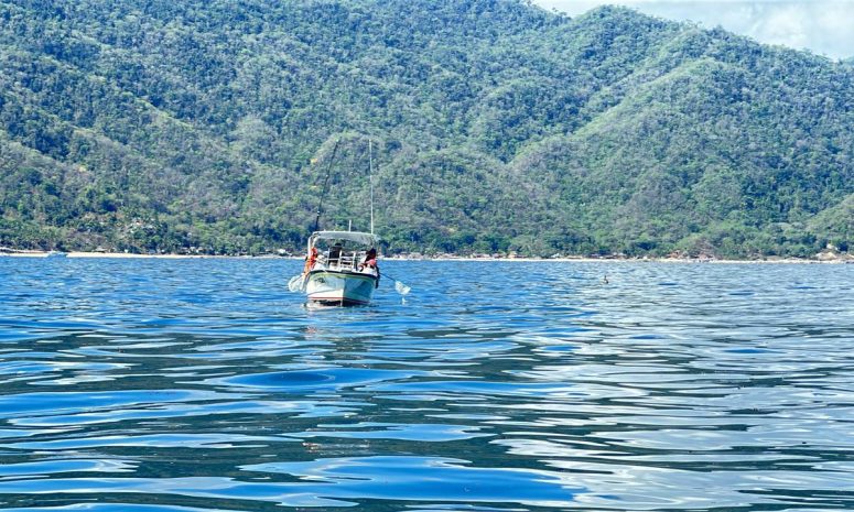 Zarpan de nueva cuenta en busca de basura en el mar de Puerto Vallarta