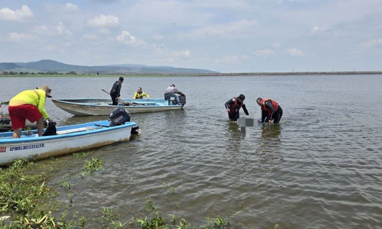 Localizan cuerpo de hombre que cayó a la Presa El Salto 