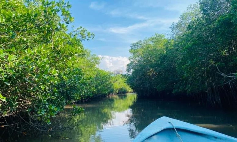 Beneficia Fondo Verde al estero El Salado