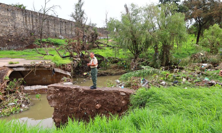 Permanecerá cerrado Parque Luis Quintanar por daños tras la tormenta