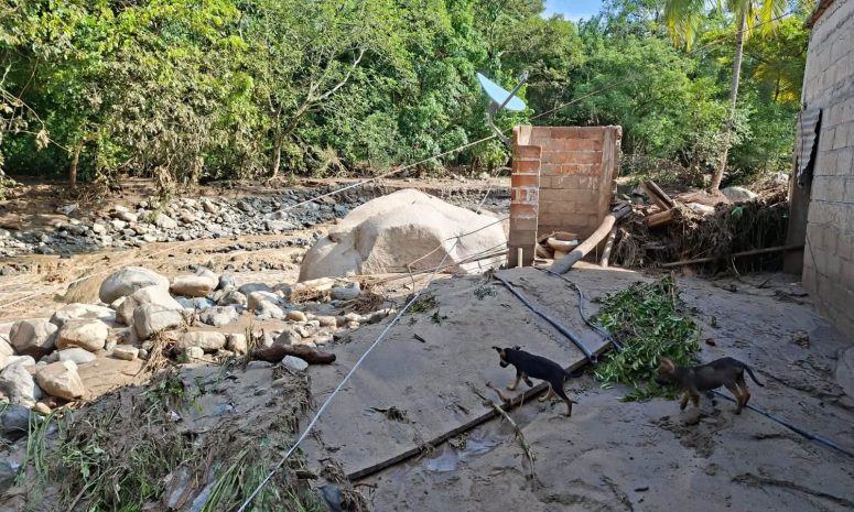 Localizan sin vida a 2 menores arrastrados por arroyo en Talpa de Allende