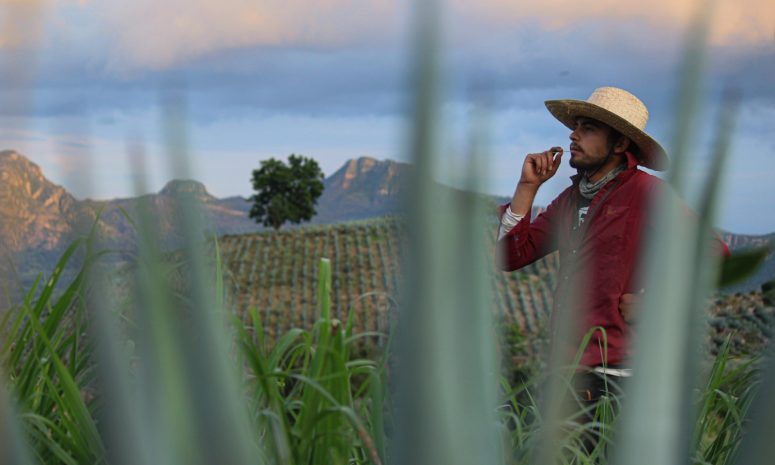 Abren convocatoria del Concurso Nacional de Fotografía Latidos del Campo