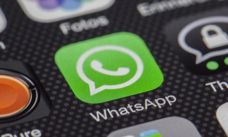 Preparan llamadas de voz y video por WhatsApp sin necesidad de registro