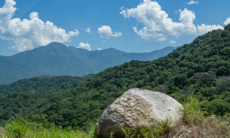 Protegen 56 mil hectáreas de la Sierra de Cacoma en 6 municipios de Jalisco