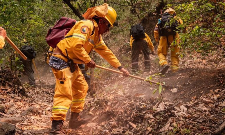 Van más de 5 mil 462 incendios en lo que va del año en México 