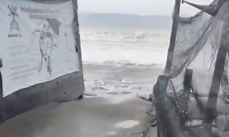 Huracanes Polo y Rachel destruyen campamento de Boca de Tomates en Vallarta