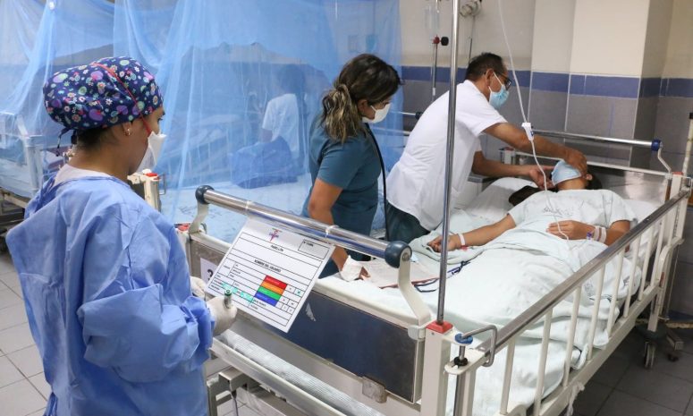 Vallarta mantiene solo 3 casos de dengue en el año