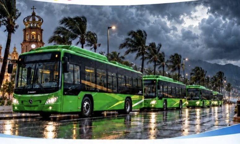 UnibusPV confirma suspensión del servicio de transporte público